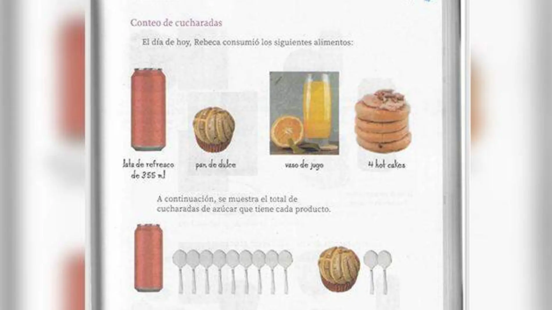 Manteconchas libros texto